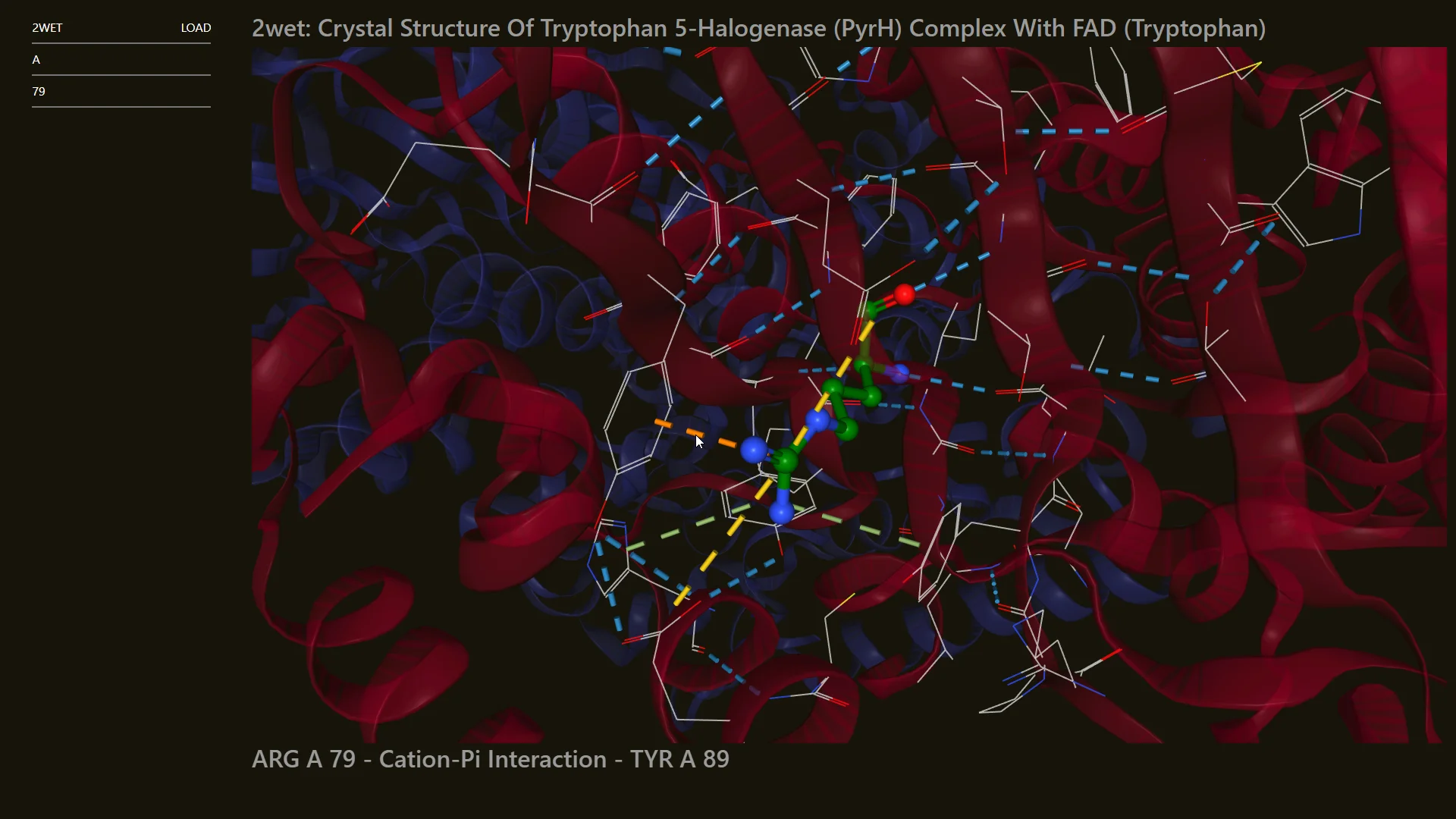 A close up view of a protein crystal structure residue residue interactions